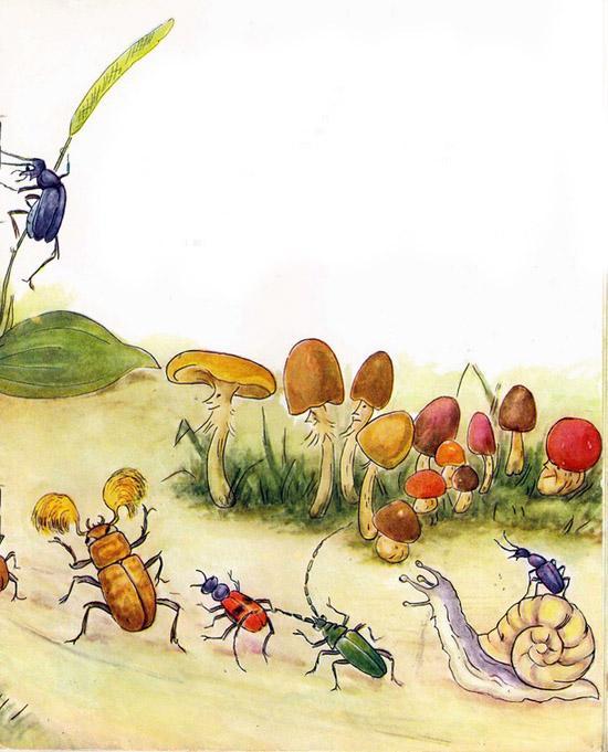 Репортаж со стадиона Жукамо 3