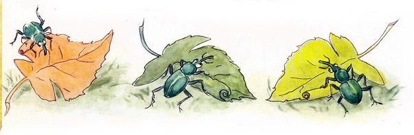 Репортаж со стадиона Жукамо 5