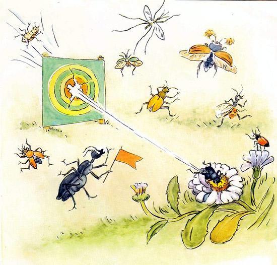 Жук-Бомбардир стрельба по мишени