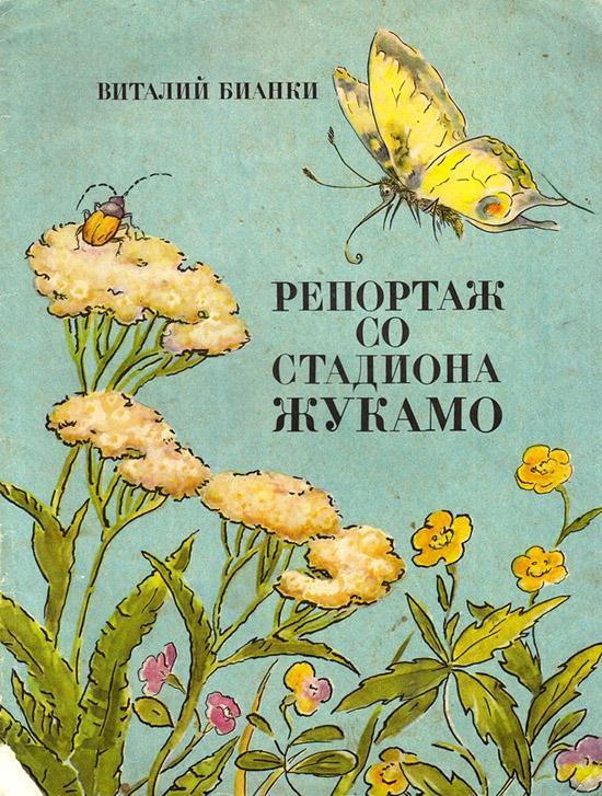 Репортаж со стадиона Жукамо