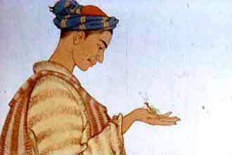 Рыбка Гульдор (сказка) Юноша большой муравей