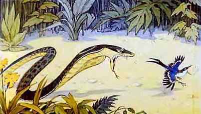 Рикки-Тикки-Тави (сказка) Нагайна гонится за Дарзи