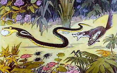 Рикки-Тикки-Тави (сказка) Нагайна уносит яйцо мангуст Рикки-Тикки-ТавиРикки-Тикки-Тави