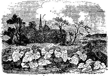 Счастливое семейство (сказка) Счастливое семейство