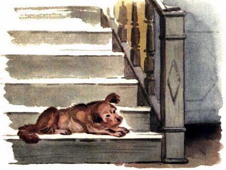 собака лежит на ступеньках