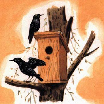 Секрет (рассказ) скворцы и скворечник