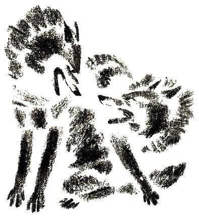 Напали на козлика серые волки