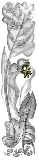 Сестра и девять братьев (сказка) Сестра и девять братьев