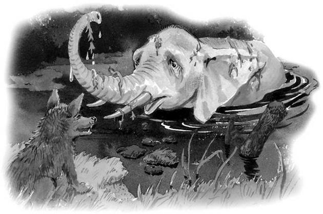 Шакалы и слон (басня) Шакалы и слон