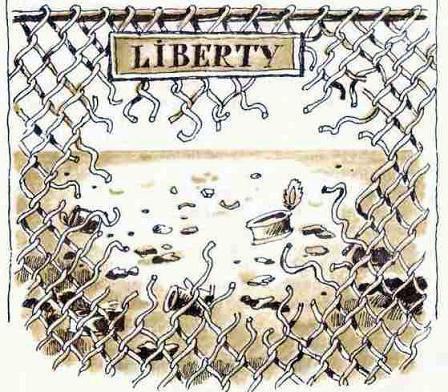 Шамайка – королева кошек img 075