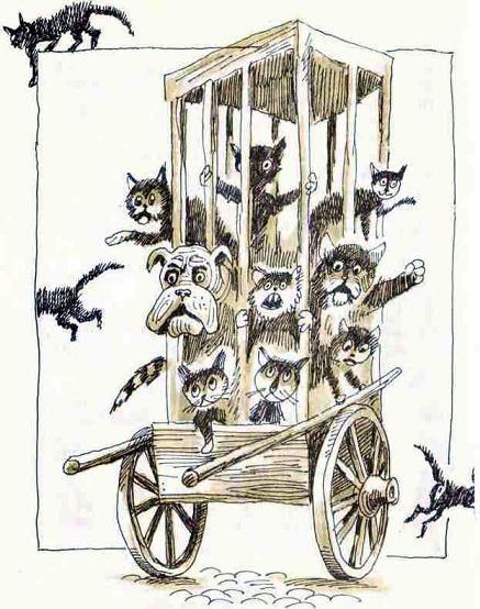 Шамайка – королева кошек img 080