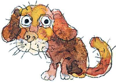 Шамайка – королева кошек img 45