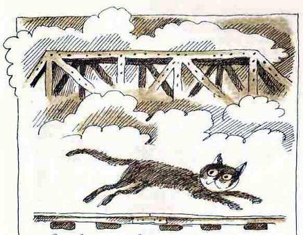 Шамайка – королева кошек img 111