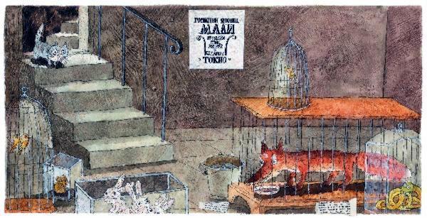 Шамайка – королева кошек img 10