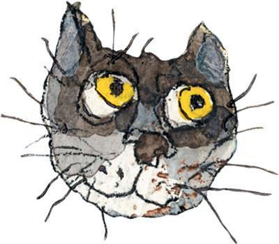 Шамайка – королева кошек img 18