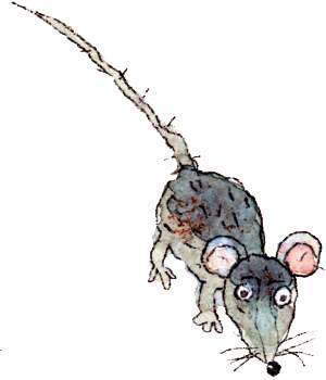 Шамайка – королева кошек мышь