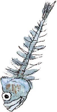 Шамайка – королева кошек останки рыбы