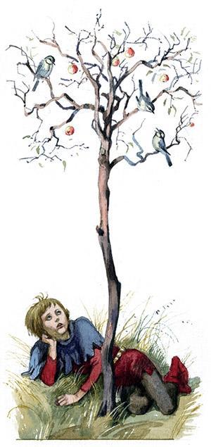 Шамус и птицы