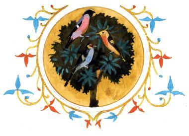 Шамус и птицы 07