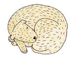 Щенок Засоня (рассказ) Щенок Засоня