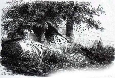 Шершни и пчёлы (басня) Шершни и пчёлы