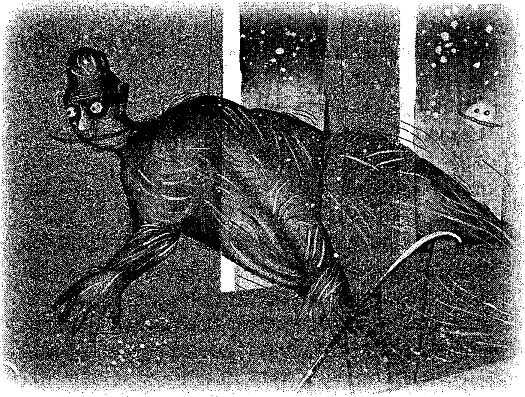 Школа ужасов