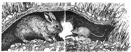 Школьная мышь