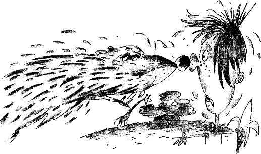 Школьный сонник Школьный сонник