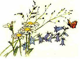 Синичкин календарь