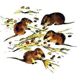 Синичкин календарь