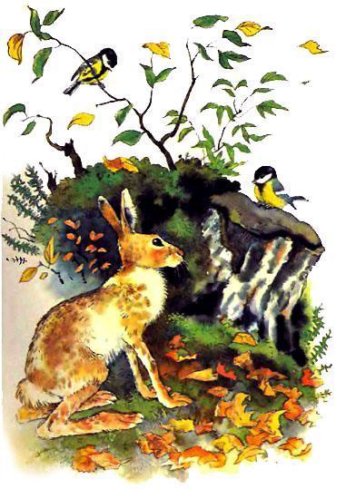 Синичка и заяц осенью