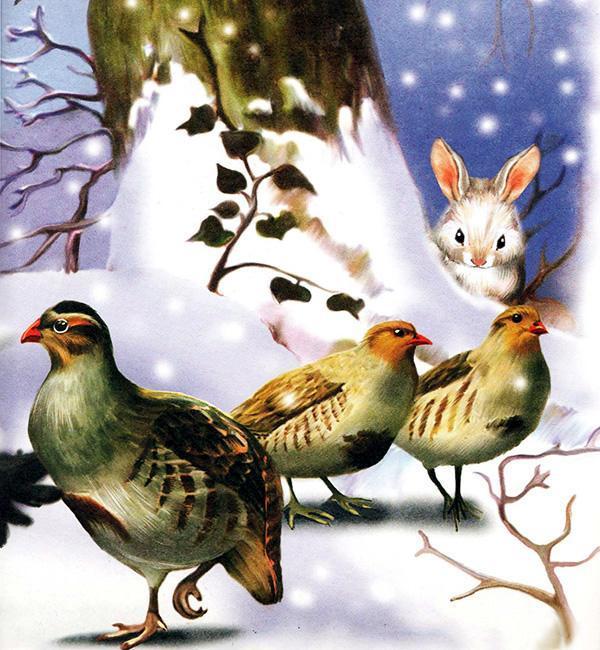 Синичкин календарь (сказка Виталия Бианки) синица