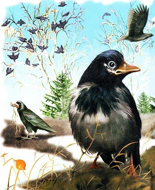 Синичкин календарь (сказка Виталия Бианки) синица