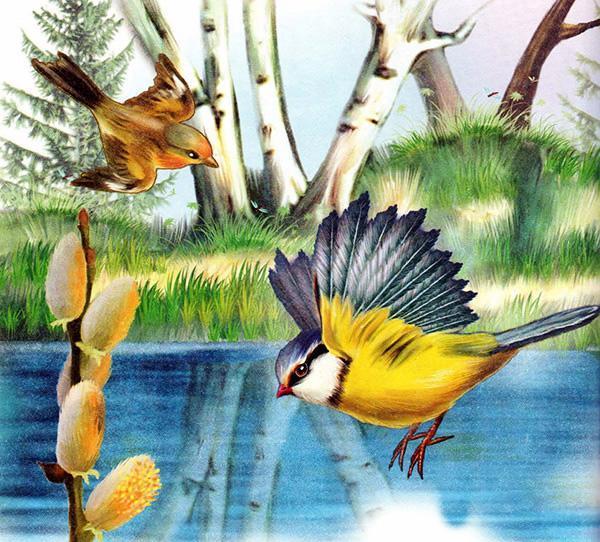 Синичкин календарь (сказка Виталия Бианки) синица