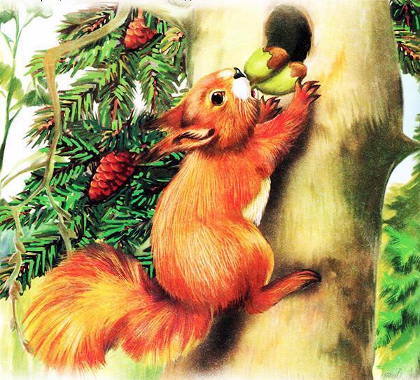 Синичкин календарь (сказка Виталия Бианки) синица