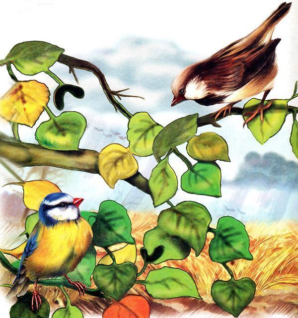 Синичкин календарь (сказка Виталия Бианки) синица