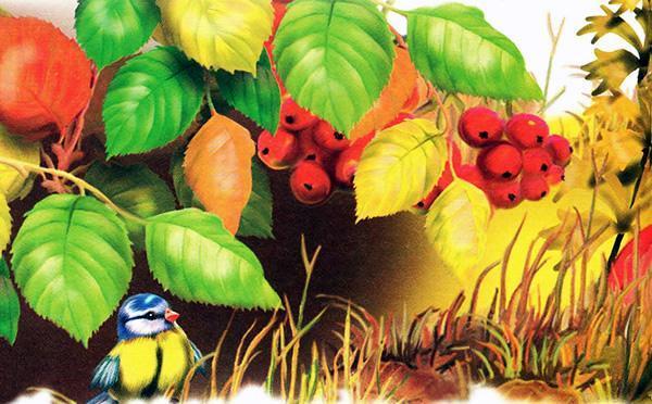 Синичкин календарь (сказка Виталия Бианки) синица