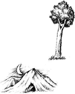 Синяя шапочка 101