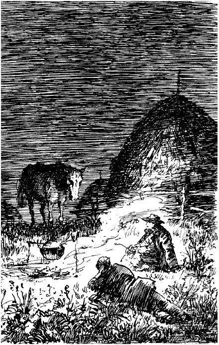 Сивый мерин