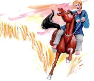 младший сын в поле на коне сторожит пшеницу