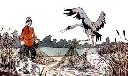 попался в сети журавль, кричит, бьется, выбраться не может