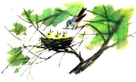 Сказка о мудрой жене (латышская сказка) Сказка о мудрой жене