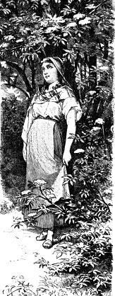 Сказка о заколдованном дереве