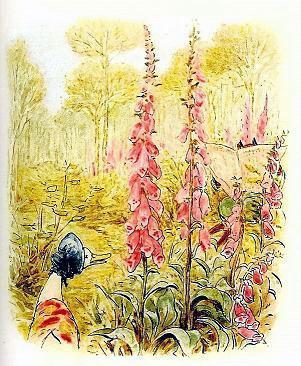 Сказка про Джемайму Плюхвводу