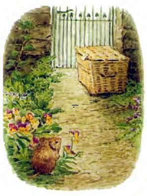 Сказка про Джонни Горожанина