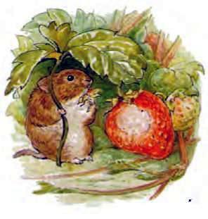 Сказка про Джонни Горожанина