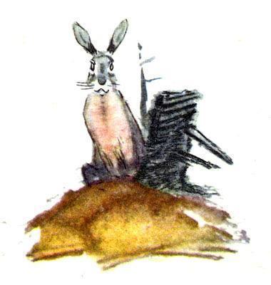 Храбрый Заяц