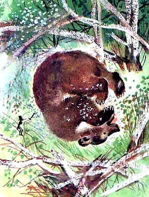 медведь кубарем жалят