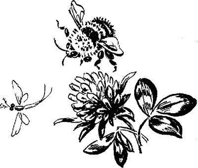 Сказка про козявочку