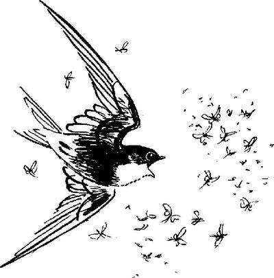 Сказка про козявочку Сказка про козявочку